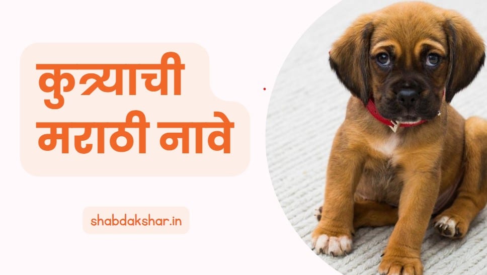 250 Marathi Dog Names